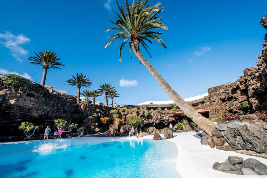 Le bassin blanc et le palmier des Jameos del Agua, à Lanzarote